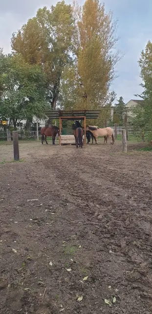 Foto: Pferdehof Stadlau