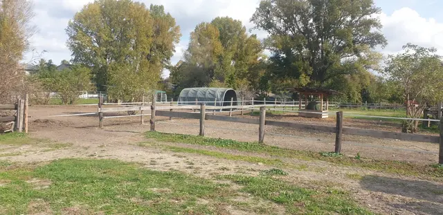 Foto: Pferdehof Stadlau