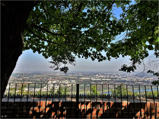 Archiv | Foto: Uschi Rischanek