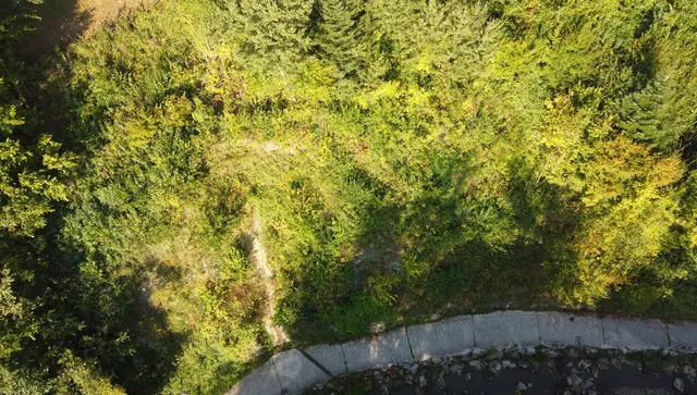 So sieht der Hang neben dem Radweg heute aus - die Bäume und Sträucher schützen vor Steinschlag und Hangrutsch | Foto: WLV