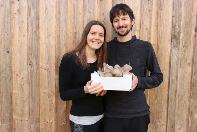 Sebastian Reindl züchtet gemeinsam mit seiner Gattin Lisa seit 2020 in Schleedorf Bio-Speise- und Vitalpilze. Begonnen haben sie mit Austernpilzen.
 | Foto: Lisa Reindl