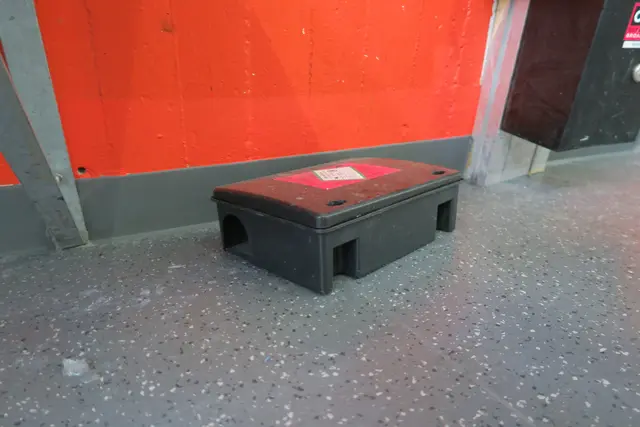 Genügend Fallen sollen das Rattenproblem beheben. | Foto: Patricia Hillinger/MeinBezirk