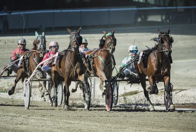 Foto:  Jeff Mangione / KURIER / picturedesk.com