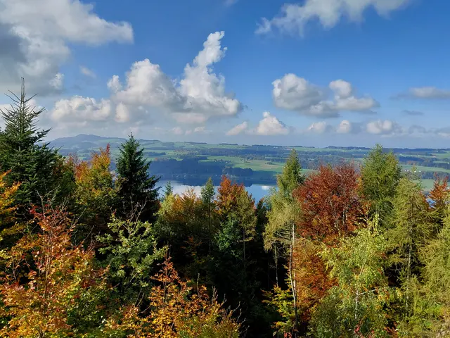 Foto: H.Bachinger