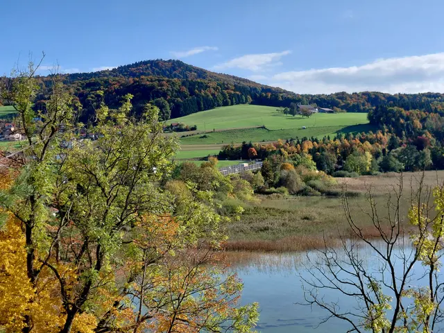Blick auf den Buchberg  | Foto: H.Bachinger