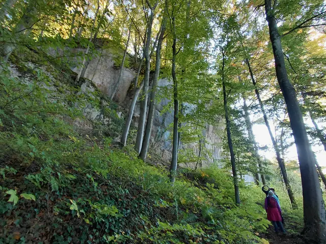 Wanderung auf den Wartstein  | Foto: H.Bachinger