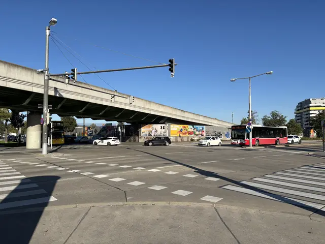 Viele Anrainer sorgen sich um die Verkehrssicherheit entlang der Wagramer Straße. Besonders Kinder und ältere Menschen seien gefährdet.  | Foto: Matthias Pandrea/MeinBezirk