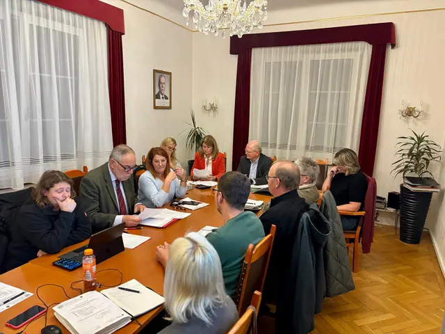 Vizebürgermeisterin Natascha Mang (ÖVP) übernahm das Wort von Göd, der den Saal verlassen hatte. | Foto: Markus Kahrer