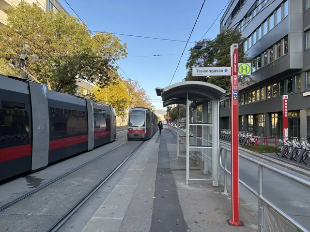 Die Anzeigetafel an der Haltestelle Traisengasse ist vom Wartehäuschen aus kaum zu erkennen. | Foto: Matthias Pandrea/MeinBezirk