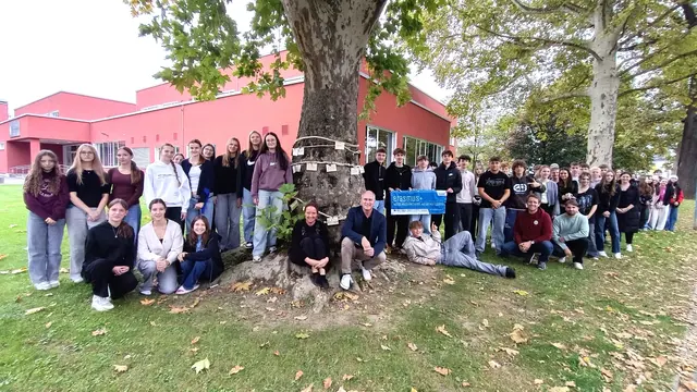 Am Stamm des Baumriesen vor der Schule machten die Schülerinnen und Schüler ihre Wunschkärtchen fest. | Foto: Borg Bad Radkersburg