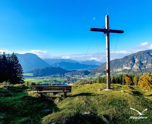 Foto: Janet Bleiker/ Alpengeierin