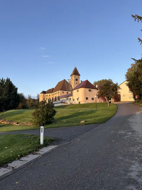 Die Kurse finden direkt im Schloss Goldegg statt. | Foto: Tanja Handlfinger
