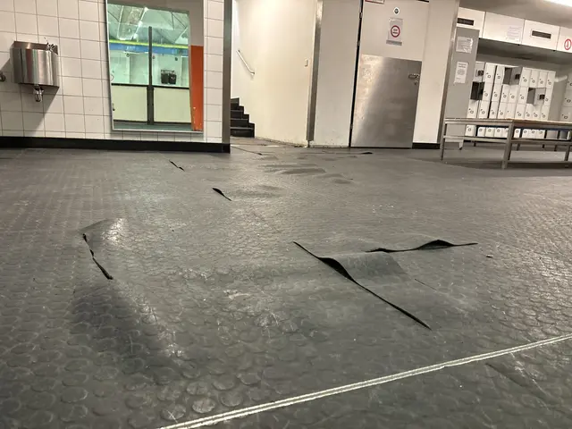 Der Bodenbelag in der Eisstadthalle musste dringend saniert werden. So sah es vor einigen Monaten aus. | Foto: Patricia Hillinger/MeinBezirk