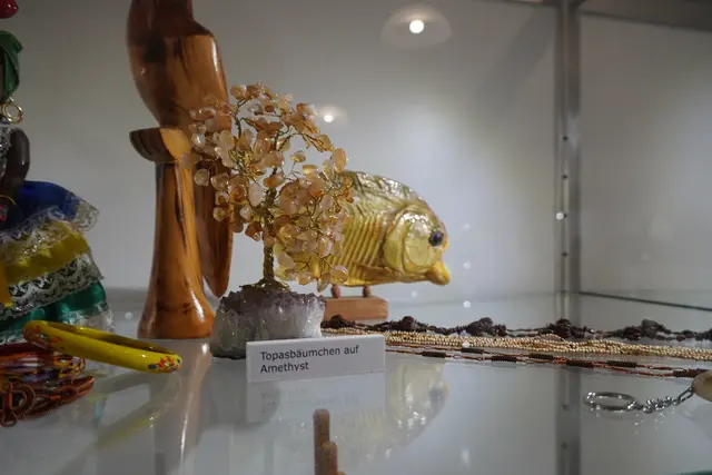 Ein Piranha als Ausstellungsstück. | Foto: Emanuel Hasenauer