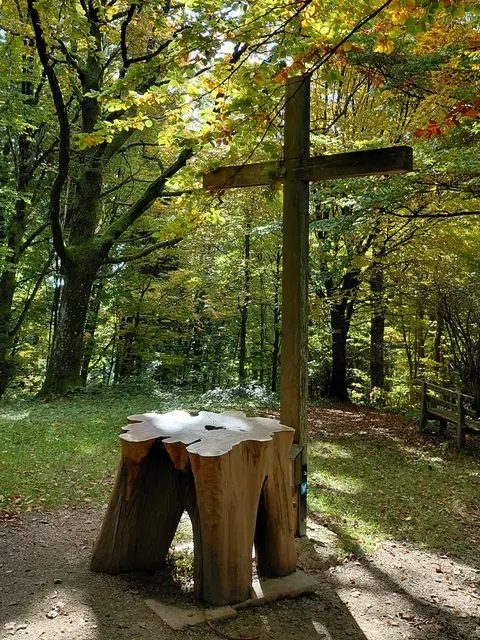 Buchberg  | Foto: H.Bachinger