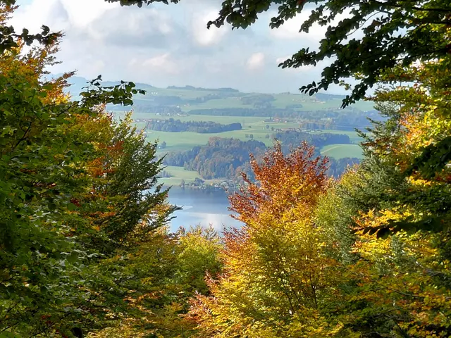 Ausblick auf den Obertrumer See  | Foto: H.Bachinger