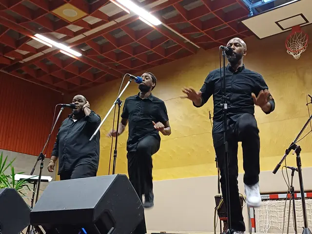 Das Acapelo-Trio Insingizi begeisterte in Friedberg. | Foto: Promise Foundation Austria