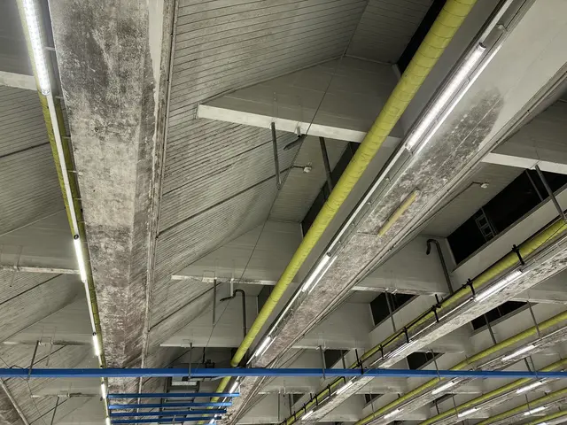 Foto: Patricia Hillinger/MeinBezirk