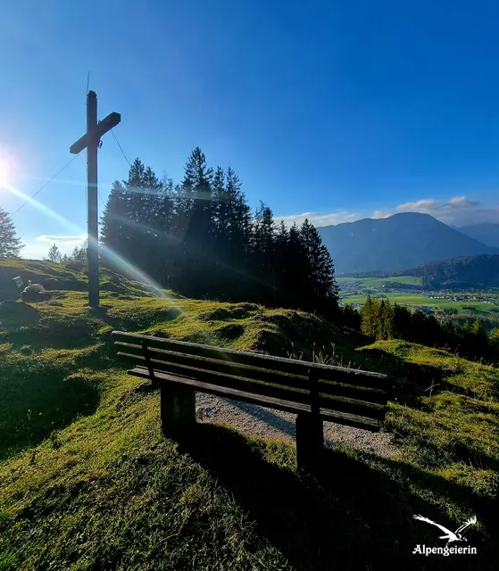 Foto: Janet Bleiker/ Alpengeierin