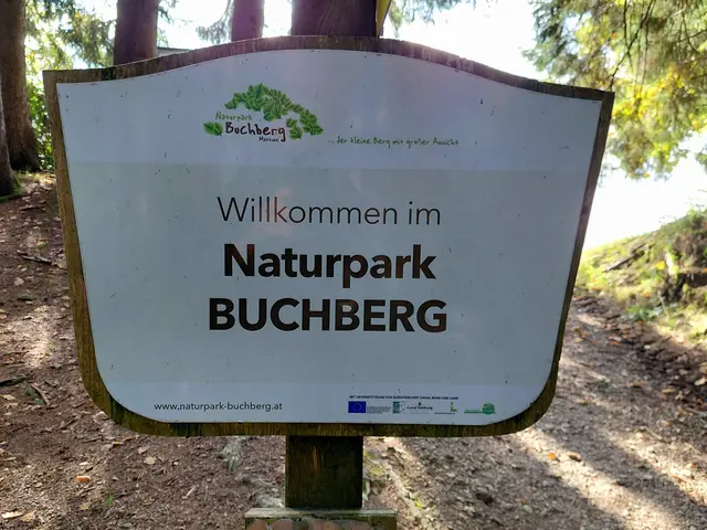 Foto: H.Bachinger