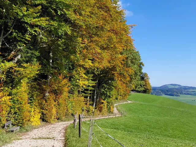 Foto: H.Bachinger
