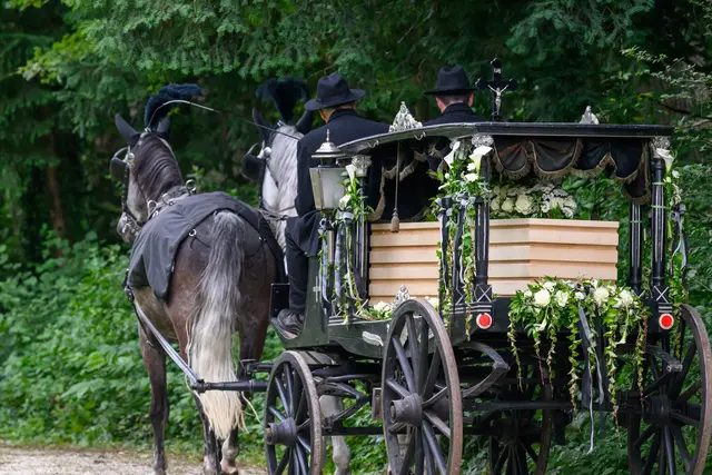 Gezogen von zwei Pferden, getragen von Erinnerung: Die Bestattungskutsche ermöglicht einen würdevollen letzten Weg. | Foto: Linz AG/Fotokerschi