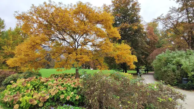 derzeit gibt es herrliche Herbsteindrücke zu bestaunen... | Foto: I.Wozonig