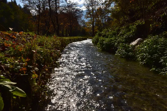 Foto: MeinBezirk/Dominik Lach