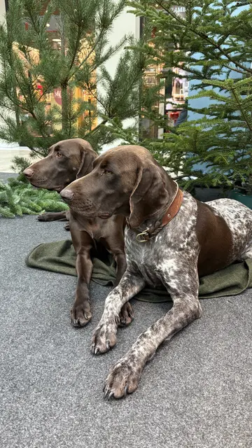 Foto: Weberzeile
