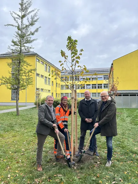Bürgermeister Josef Ramharter, Stadtgärtnerin Birgit Kopfschlegl und Klaus Dittrich (Leiter der Wirtschaftsbetriebe) und Andy Marek (v.l.) setzten die neuen Bäume. | Foto: Stadtgemeinde Waidhofen/Thaya