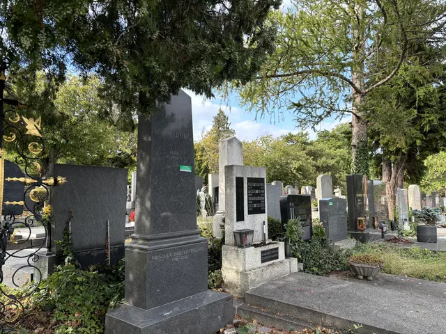 Foto: Nathanael Peterlini/MeinBezirk