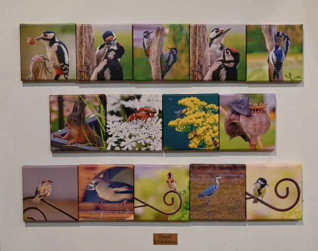 Foto: Wilfried Fischer