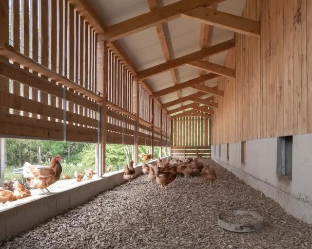 Hühnerställe Weberhans | Foto: Hohengasser Wirnsberger Architekten
