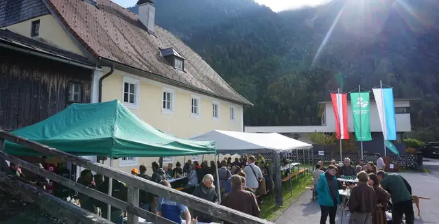 Foto: Bayerische Saalforste