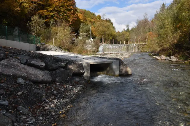 Foto: MeinBezirk/Dominik Lach