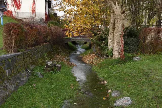 Foto: MeinBezirk/Dominik Lach