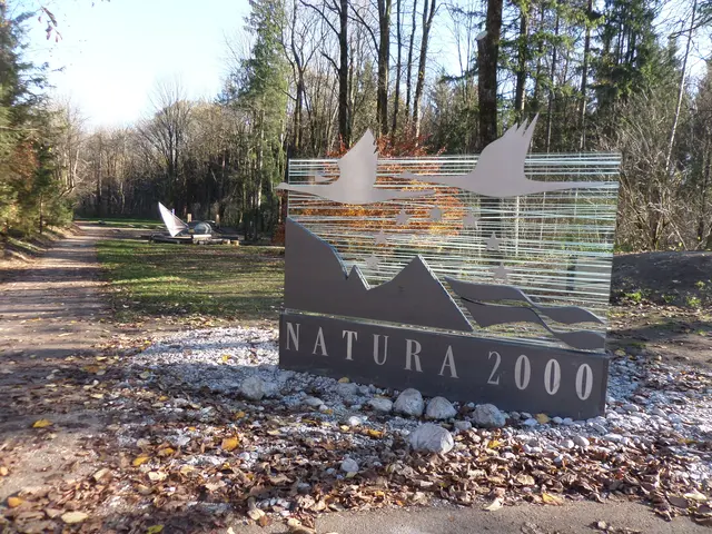 Country-Lauf im Tauglgebiet Natura 2000. | Foto: Josef Wind