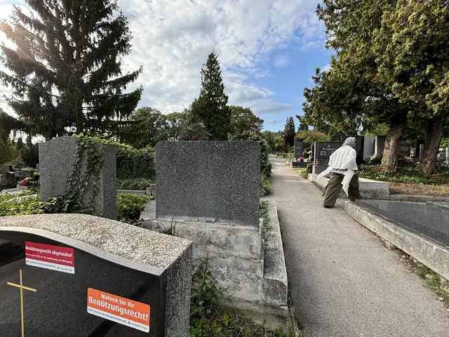 Foto: Nathanael Peterlini/MeinBezirk