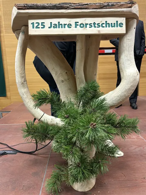 Foto: MeinBezirk/Angelika Kern