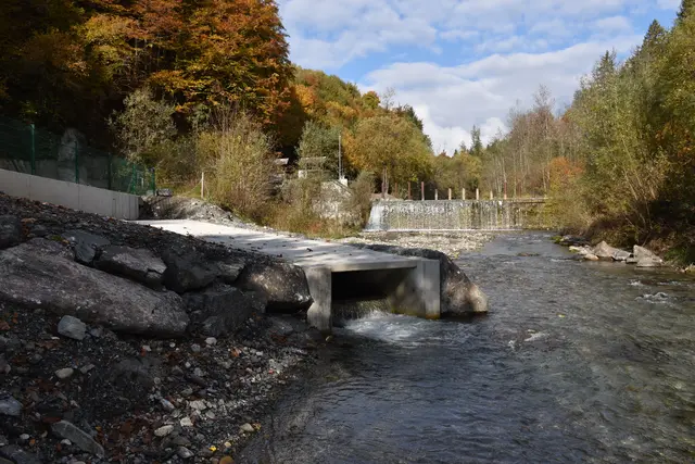 Foto: MeinBezirk/Dominik Lach