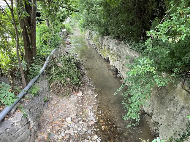 Der Thalerbach steht immer wieder aufgrund von Hochwasserereignissen in der Kritik. Die Stadt kauft nun ein Grundstück für einen Ausleitungsstollen. | Foto: Lisa Ganglbaur