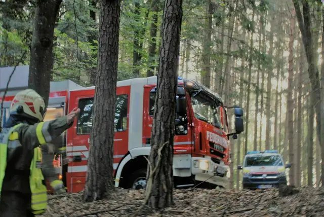 Ein Auto kam von der Fahrbahn ab und kam an einem Baum zum Stillstand.  | Foto: Symbolfoto/Franz Kaplan