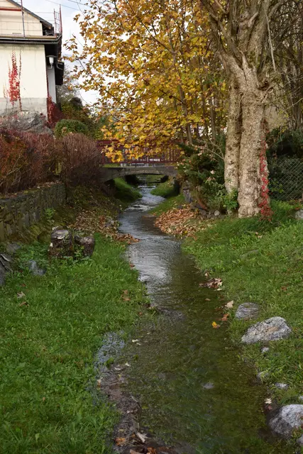 Foto: MeinBezirk/Dominik Lach