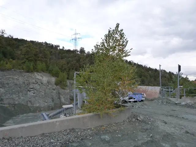 Foto: Vanessa Wittmann