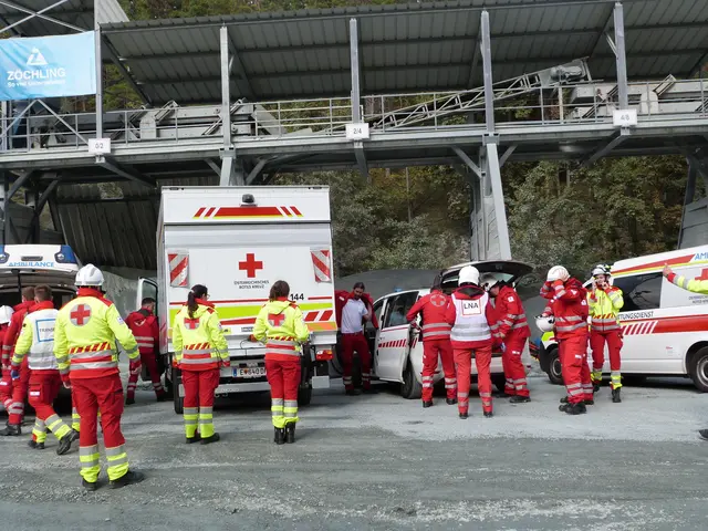 Foto: Vanessa Wittmann