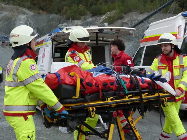 Foto: Vanessa Wittmann