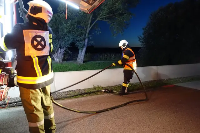 Foto: Markus Wessely