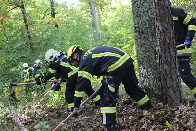 Mehrere Feuerwehren aus dem Bezirk Güssing trainierten die Einsatzabläufe für den Ernstfall eines Waldbrandes.  | Foto: Bezirksfeuerwehrkommando Güssing