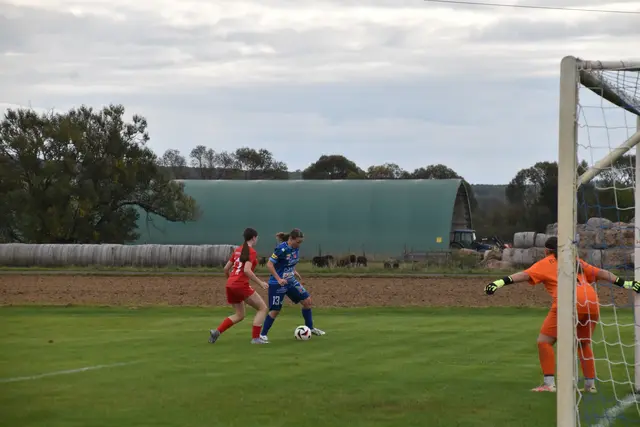 Foto: Michael Strini