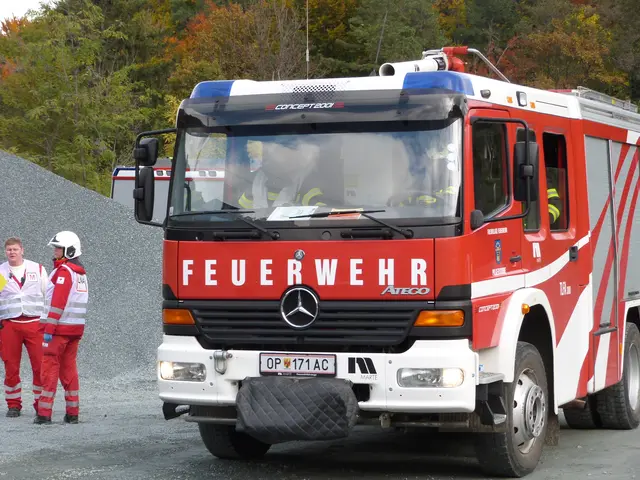 Foto: Vanessa Wittmann